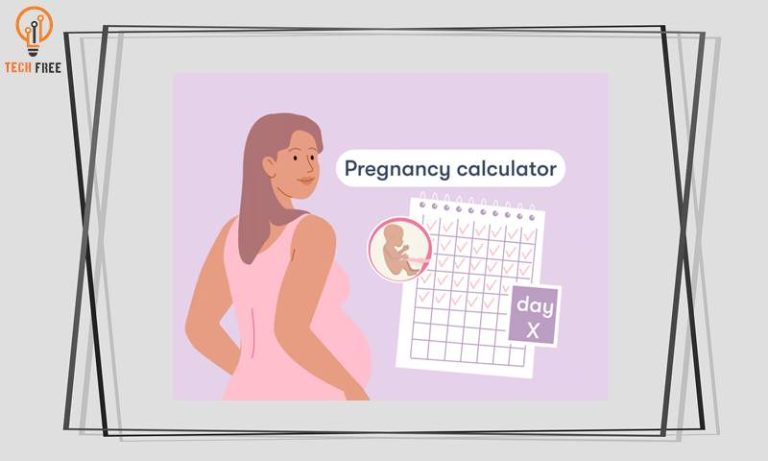 برنامج حساب السعرات الحرارية