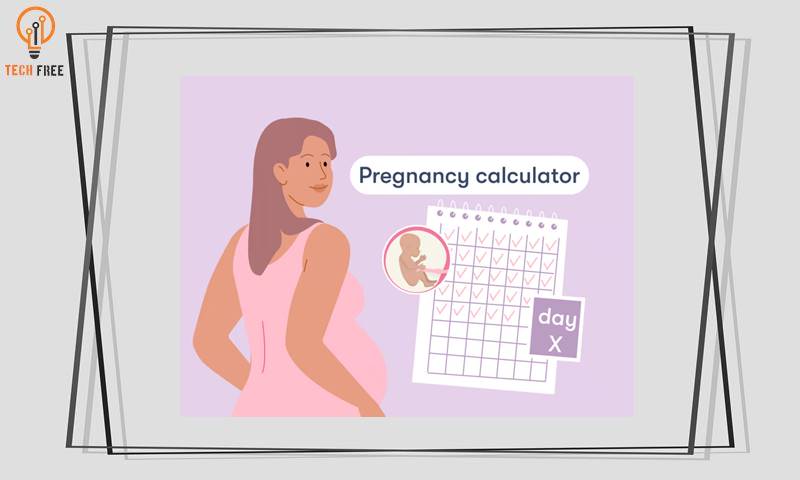 برنامج حساب السعرات الحرارية